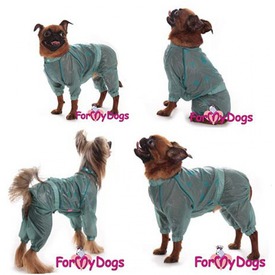 ForMyDogs �������� ��� ����� ������������ ����-������� ������� (����, ��� 1)