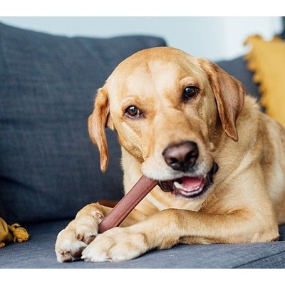 Petstages    Bully Chew    (,  2)