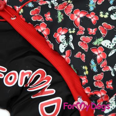 ForMyDogs  "" /,  (,  2)