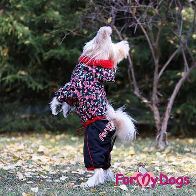 ForMyDogs  "" /,  (,  3)