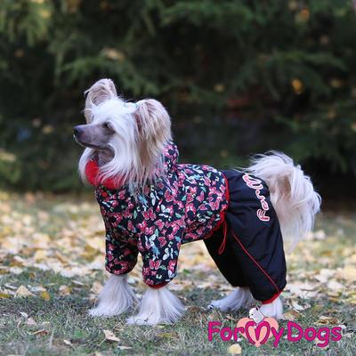 ForMyDogs  "" /,  (,  4)