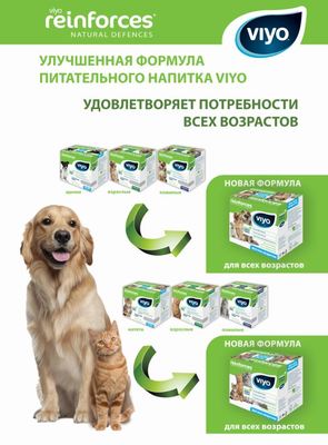 VIYO Reinforces All Ages Cat       (,  6)