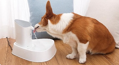 Smartpet - Els Pet     (,  3)