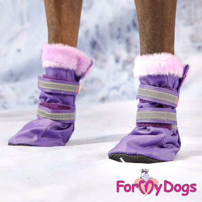ForMyDogs      ,   (,  2)