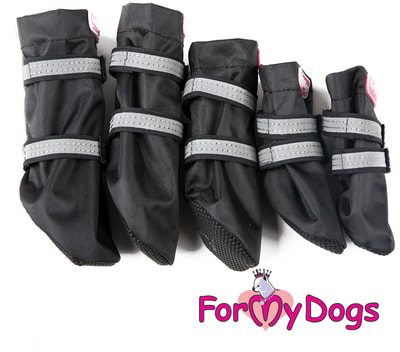ForMyDogs        ,   (,  1)