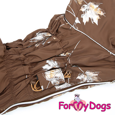 ForMyDogs      ,   (,  2)