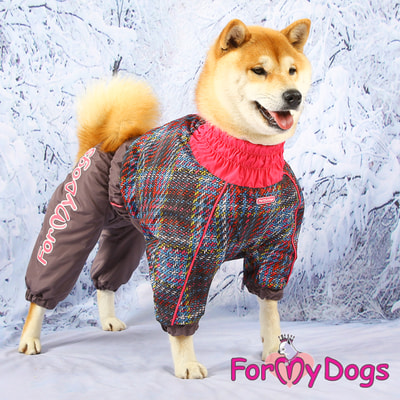 ForMyDogs     -,  (,  6)