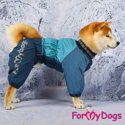 ForMyDogs ���������� ��� ������� ����� ����-�������, ������� (����, ��� 5)