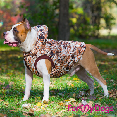 ForMyDogs -     (,  3)