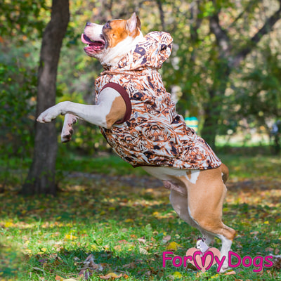 ForMyDogs -     (,  4)