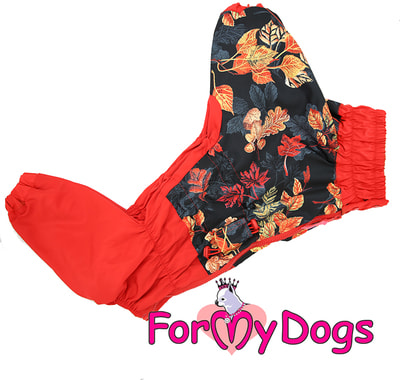 ForMyDogs �������� ��� ������� ����� ������ �����/������� ������� (����, ��� 1)