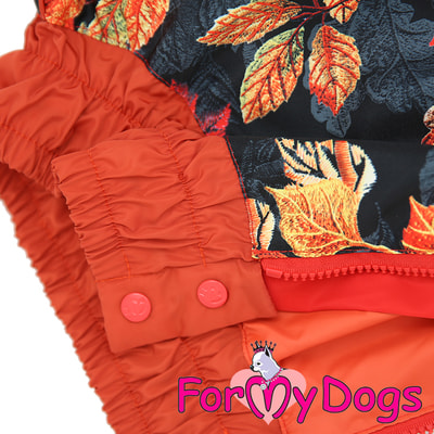 ForMyDogs �������� ��� ������� ����� ������ �����/������� ������� (����, ��� 2)