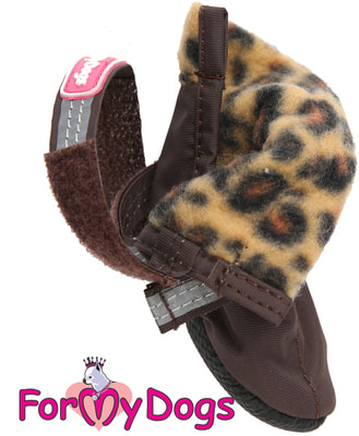 ForMyDogs       ,    (,  2)