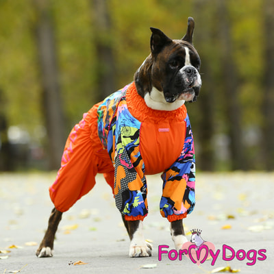 ForMyDogs       ,  (,  4)