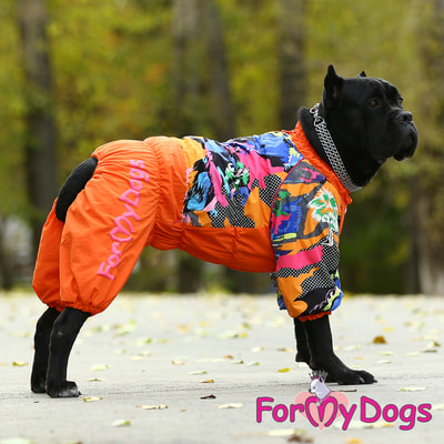 ForMyDogs       ,  (,  5)