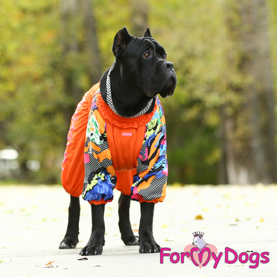 ForMyDogs       ,  (,  6)