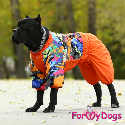 ForMyDogs       ,  (,  7)
