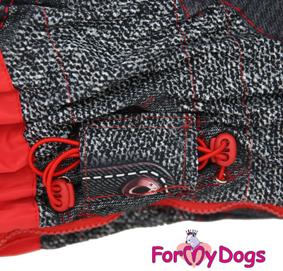ForMyDogs     /  ,  (,  2)
