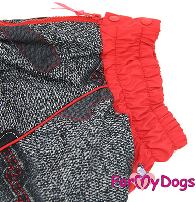 ForMyDogs     /  ,  (,  4)