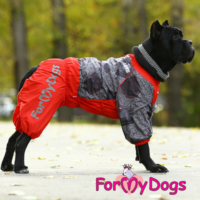 ForMyDogs     /  ,  (,  5)