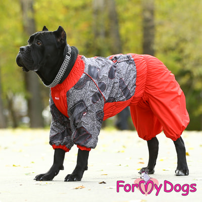ForMyDogs     /  ,  (,  6)