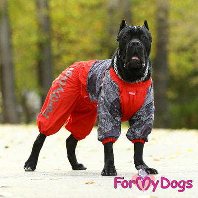 ForMyDogs     /  ,  (,  7)