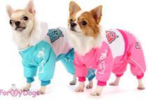ForMyDogs        (,  1)
