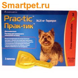 Prac-tic    2-4,5     (,  1)