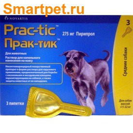 Prac-tic    11-22     (,  1)