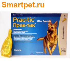 Prac-tic    22-50     (,  1)