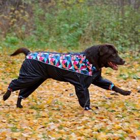 OSSO Дождевик для крупных пород собак на девочку (фото, вид 1)