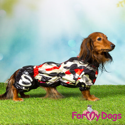 ForMyDogs Дождевик для таксы Камуфляж черно-золотой на мальчика (фото, вид 3)