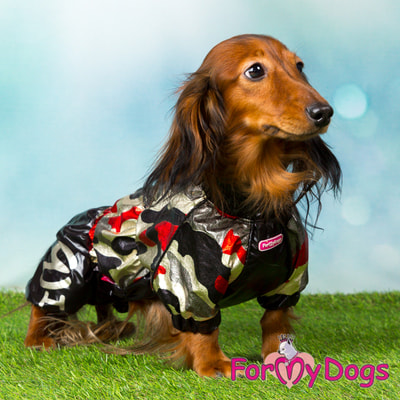 ForMyDogs Дождевик для таксы Камуфляж черно-золотой на мальчика (фото, вид 4)