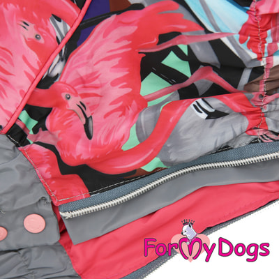ForMyDogs       (,  1)