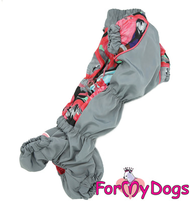 ForMyDogs       (,  2)