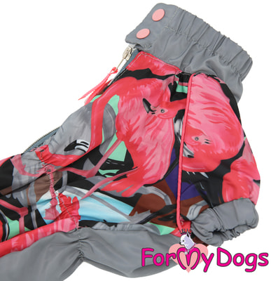 ForMyDogs       (,  4)