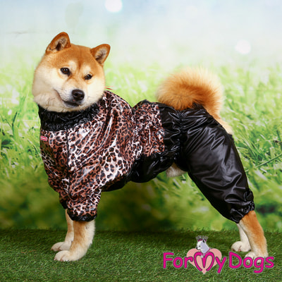 ForMyDogs      -,   (,  3)