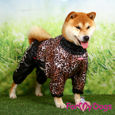 ForMyDogs      -,   (,  4)