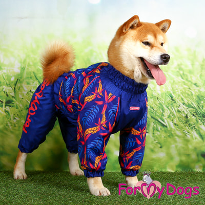 ForMyDogs        (,  5)