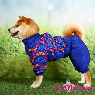 ForMyDogs        (,  6)