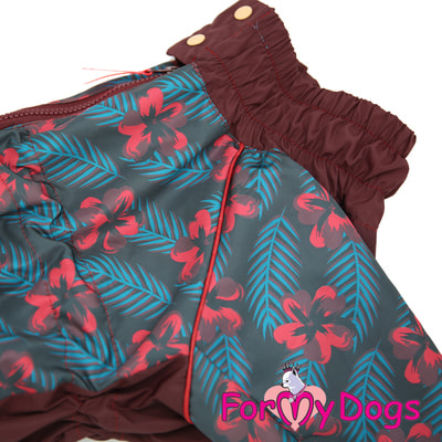 ForMyDogs        (,  1)