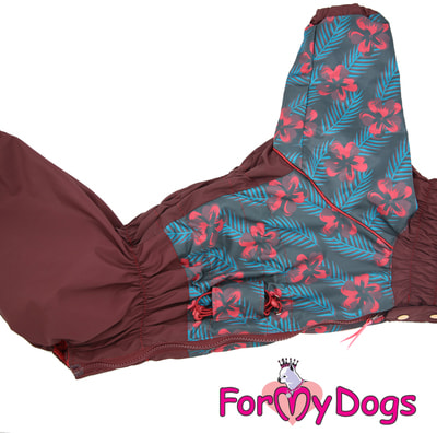 ForMyDogs        (,  3)
