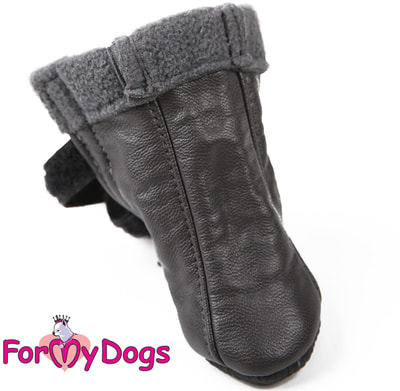 ForMyDogs ������ ������ ����� �� ���� ��� ����� (����, ��� 2)