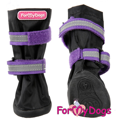 ForMyDogs            (,  1)