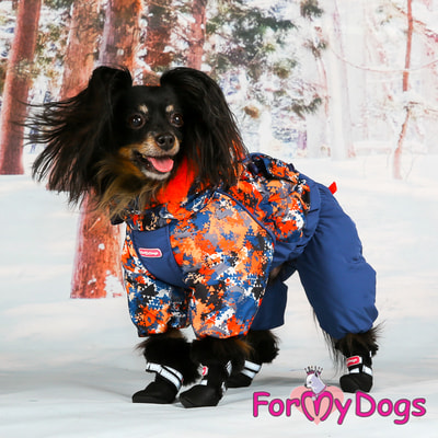 ForMyDogs        (,  1)