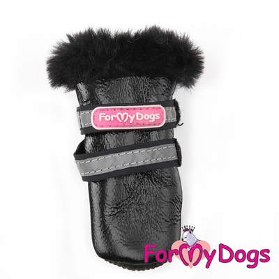 ForMyDogs        (,  2)
