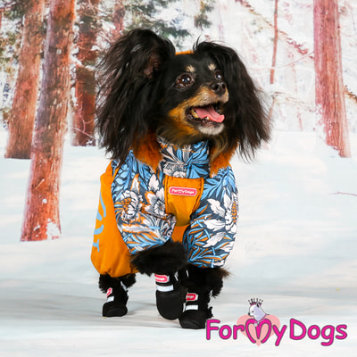 ForMyDogs        (,  3)