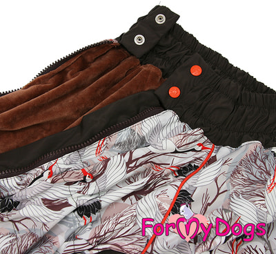 ForMyDogs         (,  2)