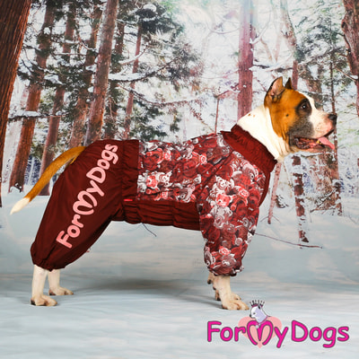 ForMyDogs         (,  4)