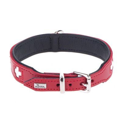 Hunter    Swiss  / (,  1)